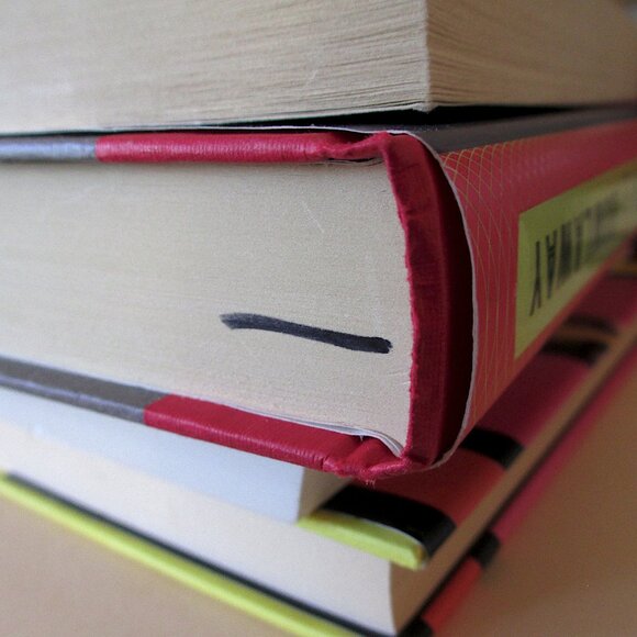 Book: Bowlaway by Elizabeth McCracken - Picture 5 of 7